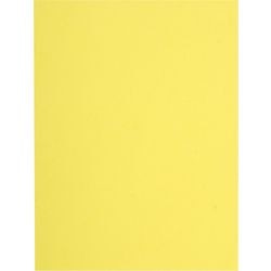 File folder exacompta 160005e A4 recycled cardboard