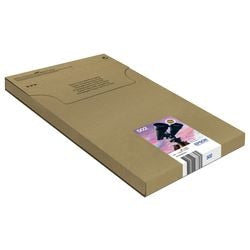 Tintenpatrone Epson V64510