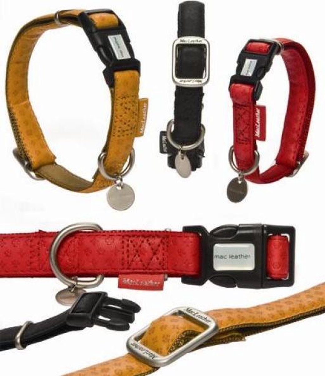 Beeztees - Hundehalsband - Mac-Leder - Schwarz - 35-50 cm