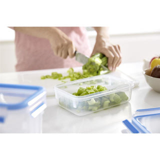 Tefal Versholding Box Frisch 100% Leck - Inhalt 0,85 l - Runde