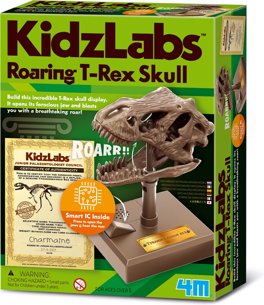 4 m Wissenschaft und Spiele – Baue einen brüllenden T-Rex-Schädel – Dino-Bausatz – Kidzrobotix – 5+
