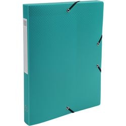 Archivbox Exacompta 59683e A4 grün