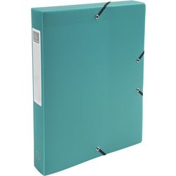 Archivbox Exacompta 59783e A4 grün