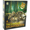 Aro schnitzt ein Dinosaurierskelett, einen Triceratops, 23 cm