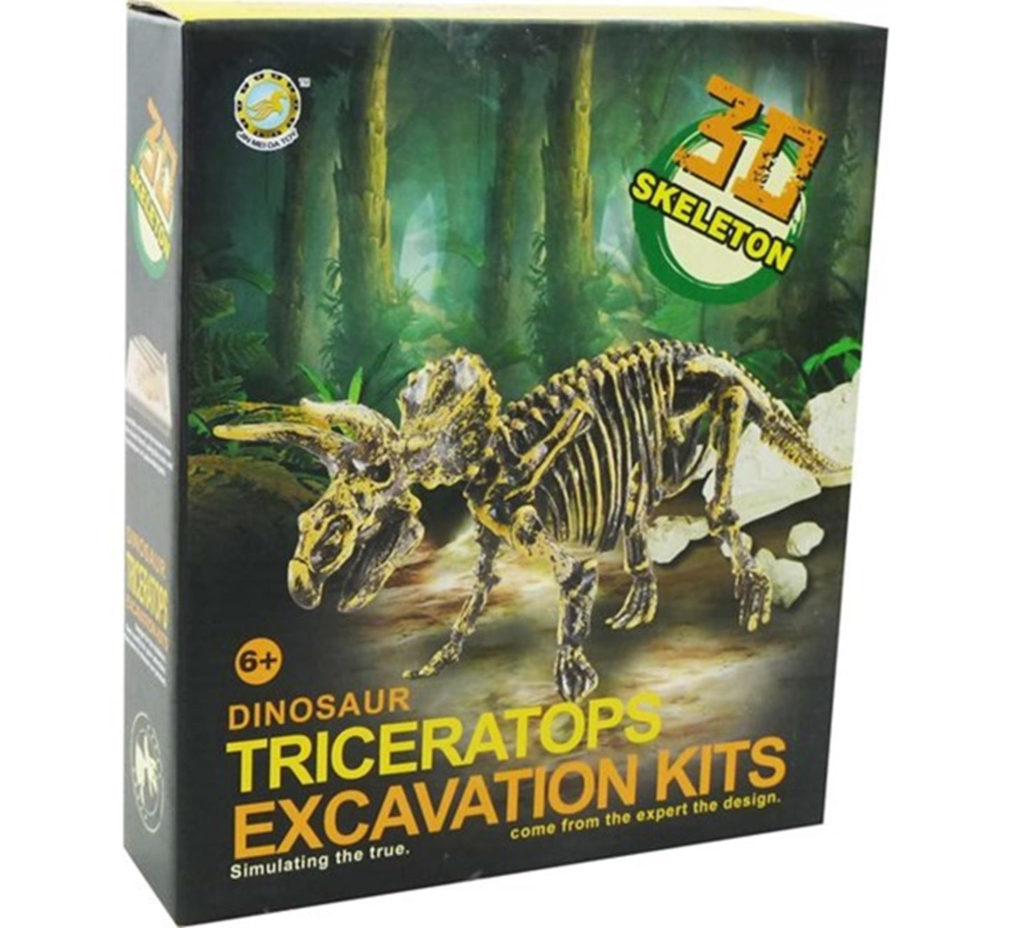 Aro schnitzt ein Dinosaurierskelett, einen Triceratops, 23 cm