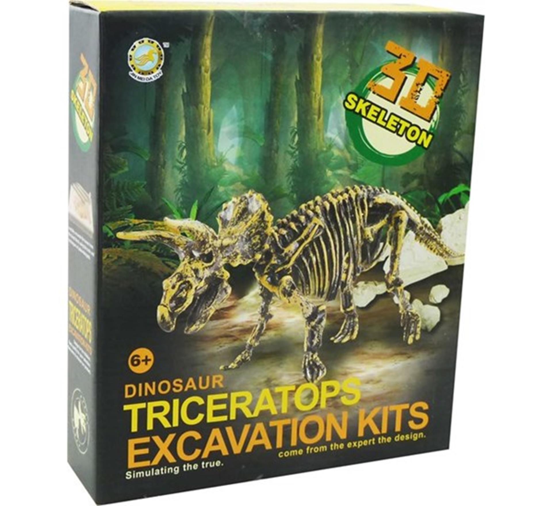 Aro schnitzt ein Dinosaurierskelett, einen Triceratops, 23 cm