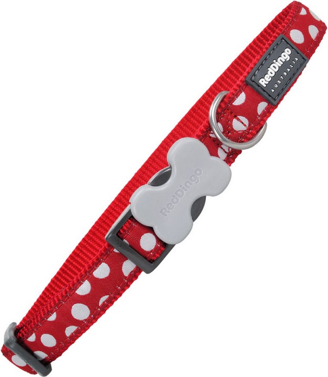 Red Dingo Hundehalsband mit Punkten (1,5 x 24-36 cm)