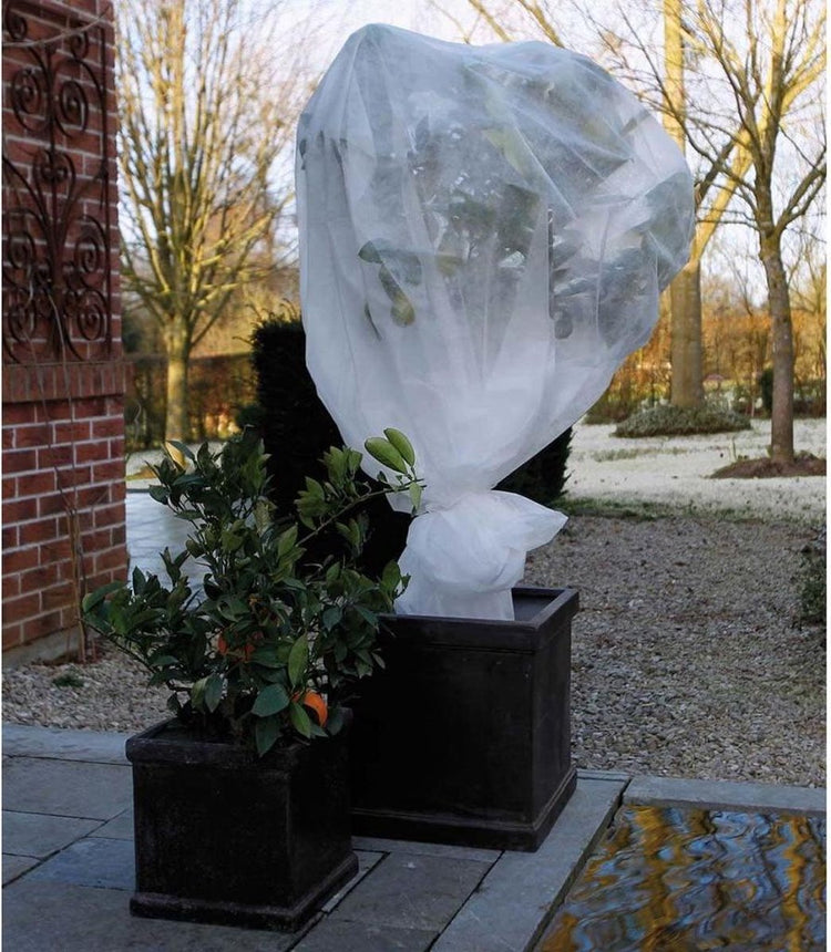 Natur Natur Winter Cover 30 g m² 2x10 m Weiß