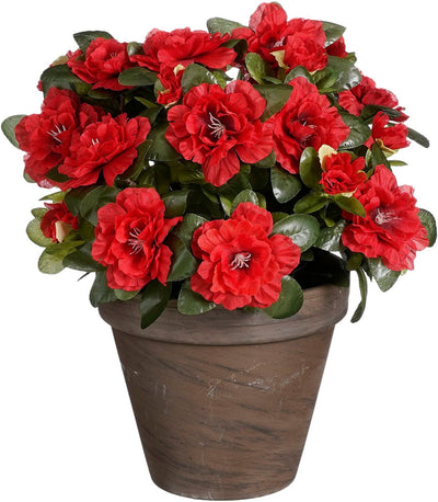 Glimmerdekorationen Kunstpflanze - Azalee - rot - im Topf - 31 cm - Kunstpflanzen