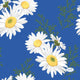 Duni Napkins Daisy Blue 24x24 cm