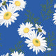 Servietten Daisy Blue 33x33 cm