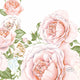 Duni -Servietten Rose Ruhm 24x24 cm