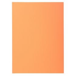 Aktenordner Exacompta 850102e orange A4