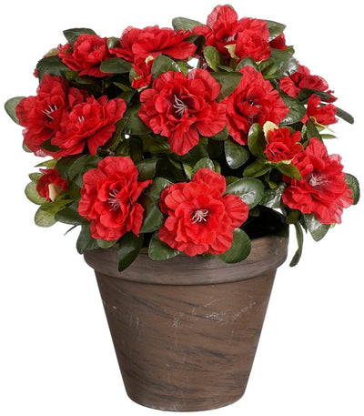 Glimmerdekorationen Kunstpflanze - Azalee - rot - im Topf - 31 cm - Kunstpflanzen