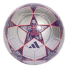 Der Adi-Champions-League-Fußball – Silber