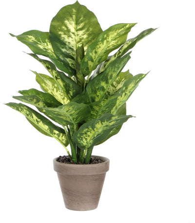 Glimmerdekorationen Kunstpflanze Dieffenbachia – grün – 40 cm – im Topf – Kunstpflanze – Zimmerpflanze