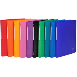 Ringbuch Exacompta A4 sortiert