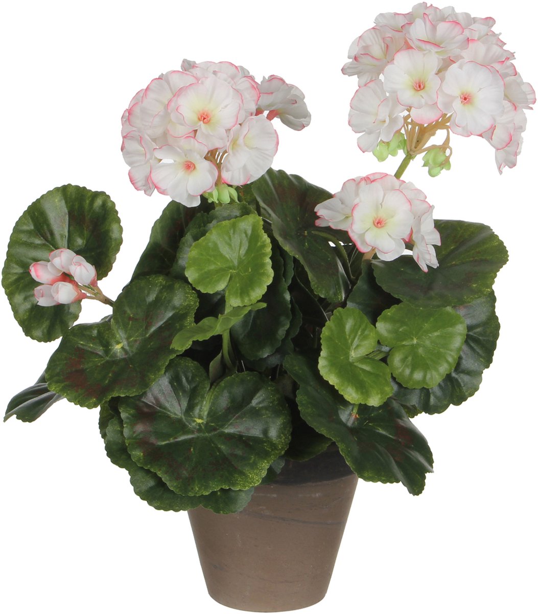 Glimmerdekorationen Kunstpflanze - Geranie - weiß rosa - im Topf - 34 cm - Kunstpflanzen - Kunstblumen
