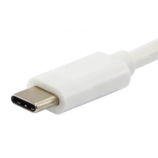 Ausrüstungsausrüstung 133462 USB Typ C bis VGA Female USB Ein weiblicher PD -Adapter, 1080p, 15 cm, weiß