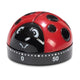 Kocher Ladybug 6 cm