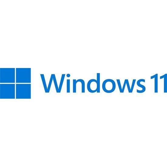 Microsoft FQC-10527 Windows 11 Professional 64-Bit [NL DVD]