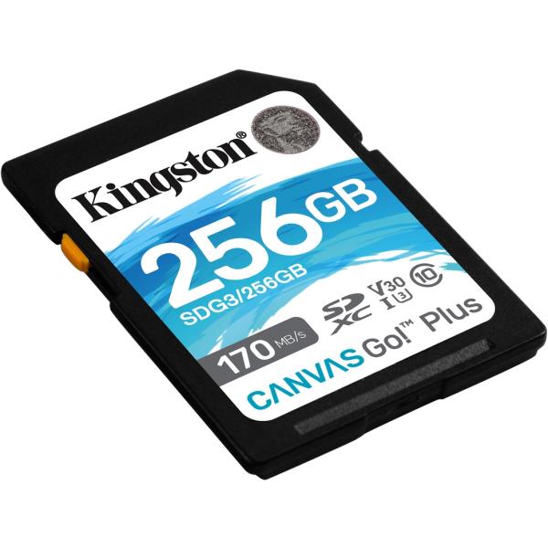 Kingston Canvas gehen! Plus SDXC 256 GB