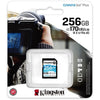 Kingston Canvas gehen! Plus SDXC 256 GB