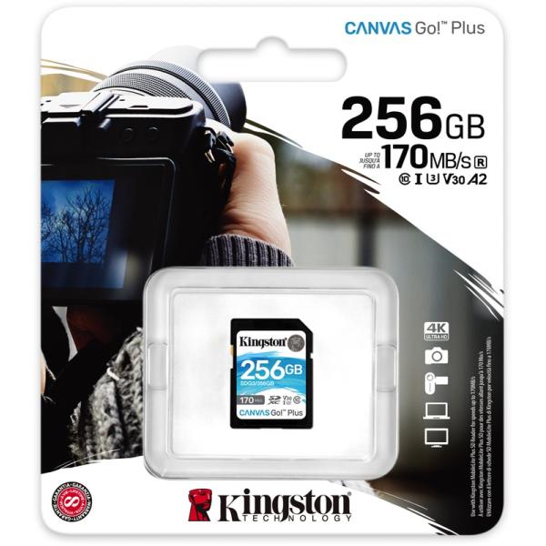 Kingston Canvas gehen! Plus SDXC 256 GB