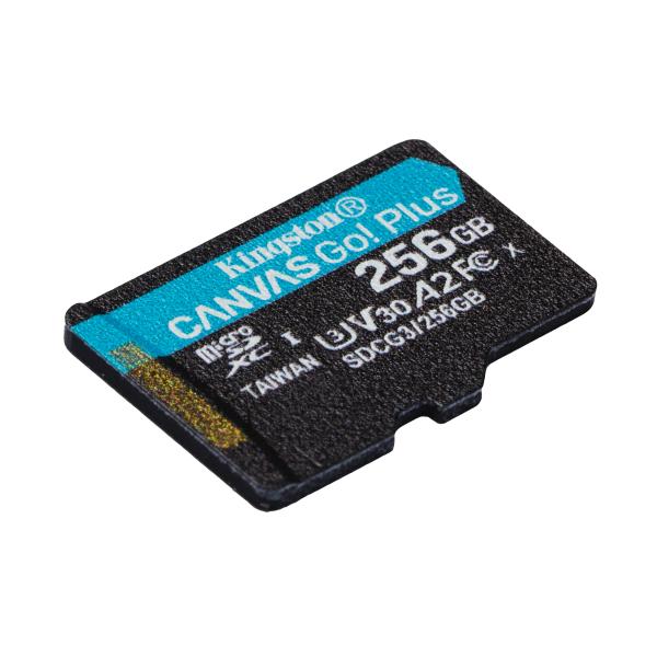 Kingston Canvas gehen! Plus microSDXC 256 GB