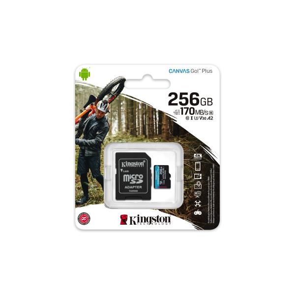 Kingston Canvas gehen! Plus microSDXC 256 GB
