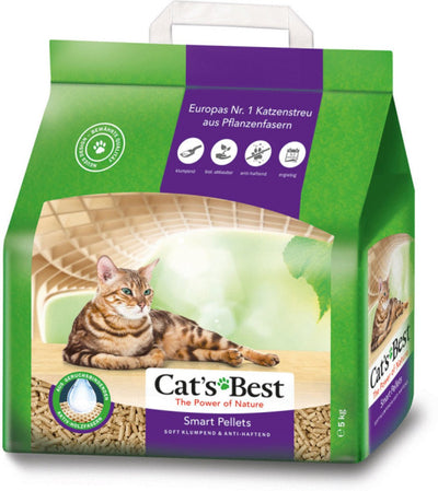 Die beste Katze