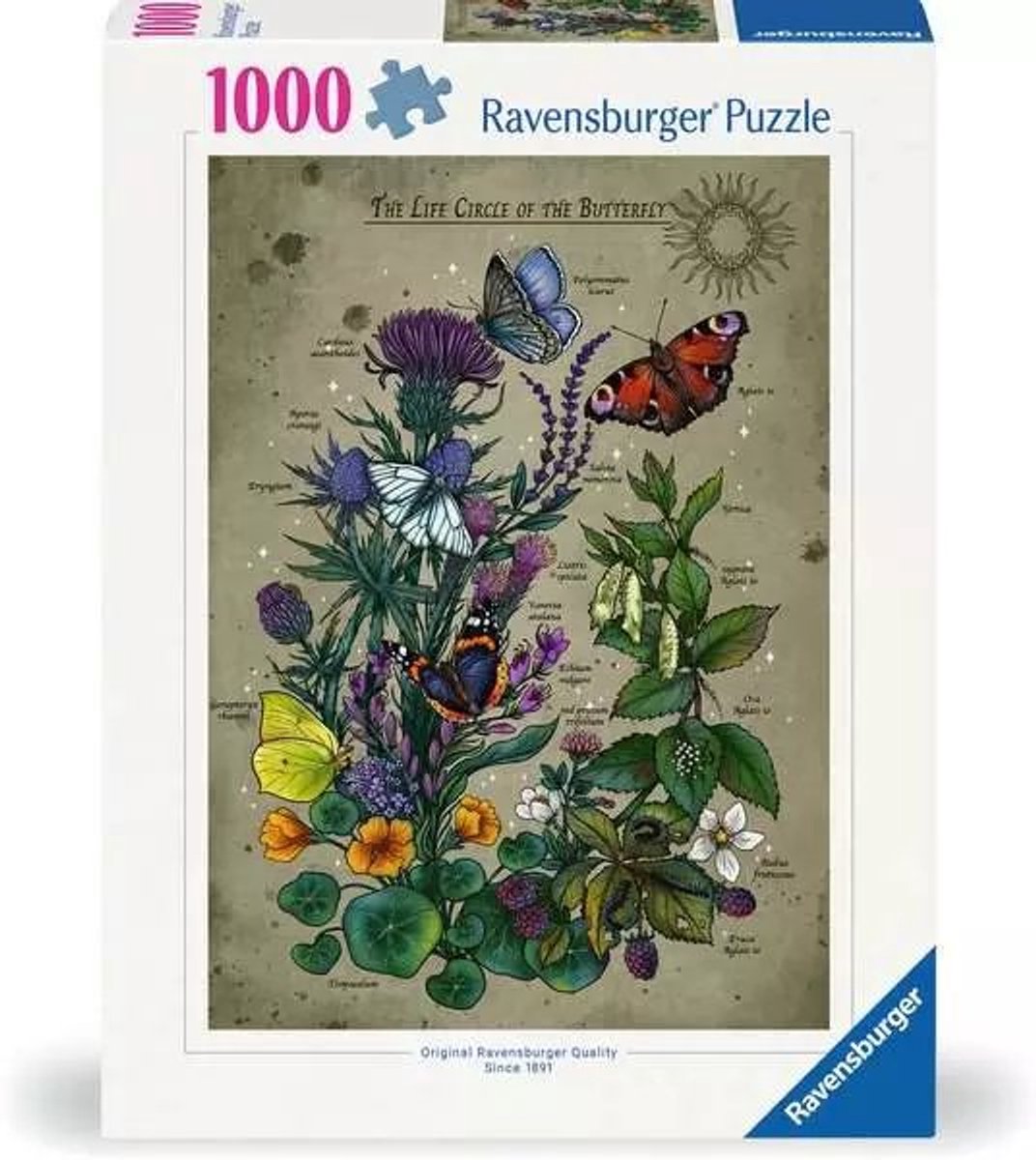 Ravensburger-Schmetterling