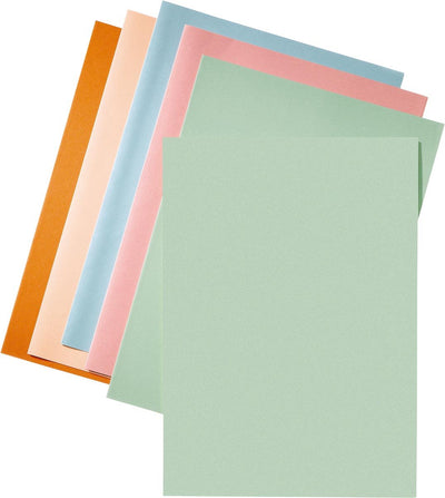 Esselte Aktenordner grün | Papier von 80 g m² | Packung mit 250 Stück