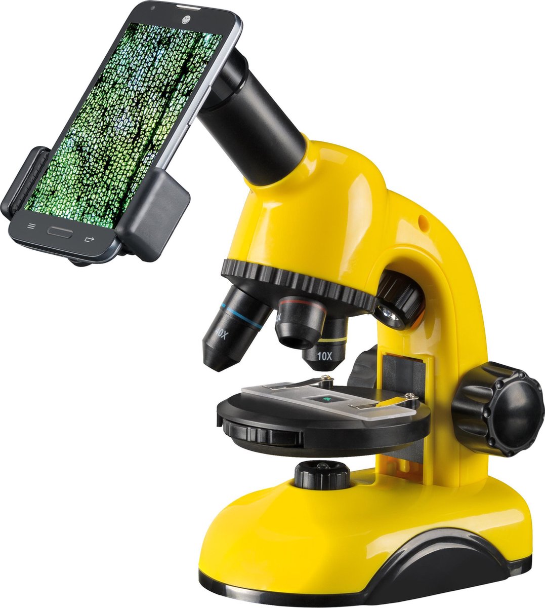 National Geographic optisches und transparentes Mikroskop 40x-800x - für Einsteiger