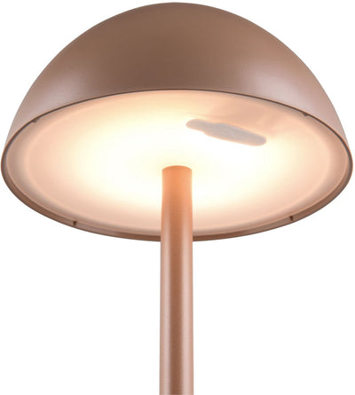 Rl lebe deine Lichtrealität Ricardo - Tischleuchte - Mokka - inkl. 1x SMD 1,7 W - 4-Stufen-Touch - USB-Anschluss - Beleuchtung auf und ab - wiederaufladbar - kabellos - Außenbeleuchtung - IP54
