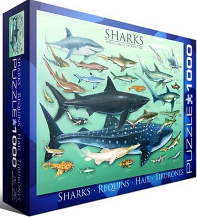 Eurographics - Haie [Haie] - 1000 Teile 68×48cm (B×H) – Puzzle