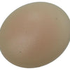Mack 1017395 – Abdeckkappe für PZ-Schreibkunst. beige 40 Stück pz 2 | 10 Stück