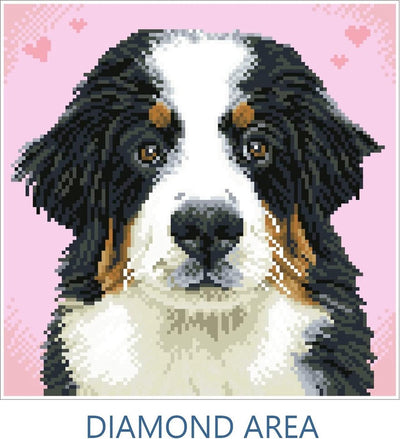 Diamond dotz® Diamond Dotz Hund Zuzu – Diamantmalerei – 11.664 Dotz – 29 x 29 cm
