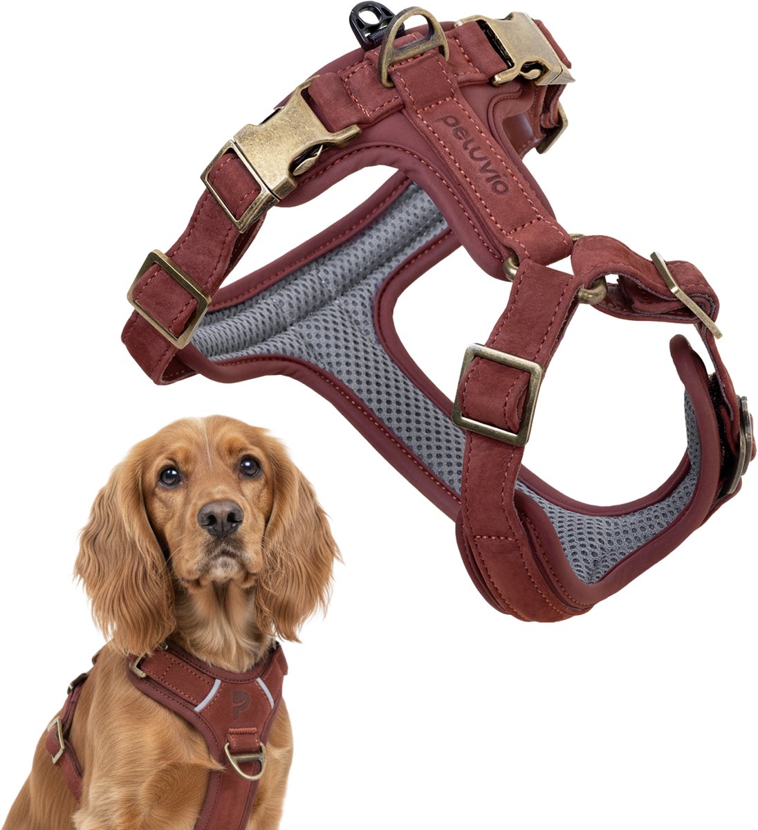 Peluvio Lord – Hundegeschirr aus Leder – Größe M – ergonomisches Schutzgeschirr aus Naturleder – Komfortkontrolle – langlebige Kupferschnallen