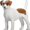 Mojo Ackerland Jack Russell Terrier 387286