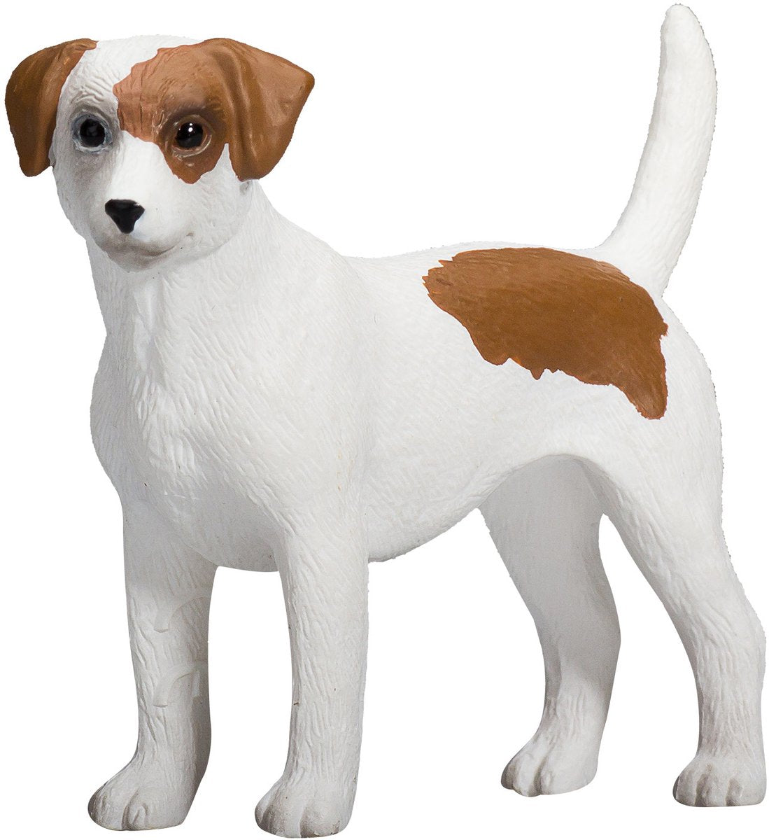 Mojo Ackerland Jack Russell Terrier 387286