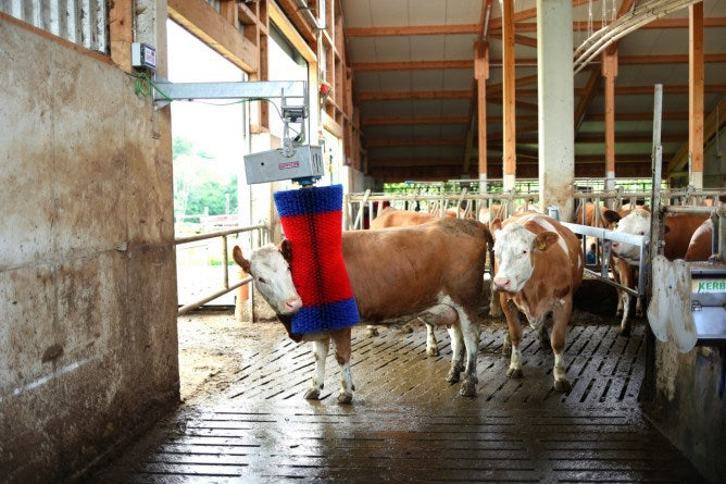 Happycow Kuhbürste Maxiswing