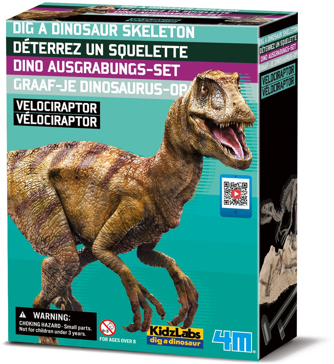 4m Grabe deinen Dino aus – Velociraptor – Ausgrabungsset und Modellskelett – Kidzlabs – 8+