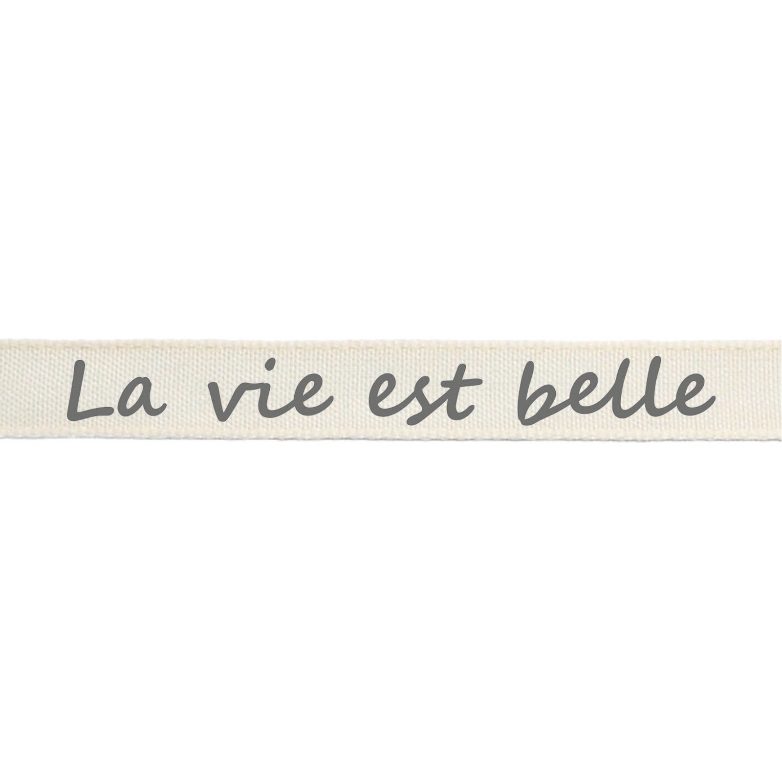 Vaessen creative • Band 2mx15mm fr la vie est belle