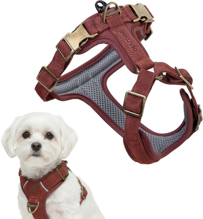 Peluvio Lord – Hundegeschirr aus Leder – Größe XS – ergonomisches Schutzgeschirr aus Naturleder – Komfortkontrolle – langlebige Kupferschnallen