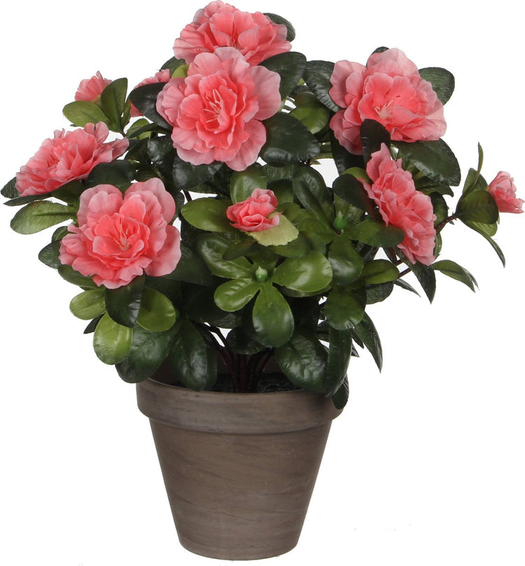 Glimmerdekorationen Kunstpflanze – Azalee – grün pfirsichfarben – 27 cm – mit wunderschönen Blumen