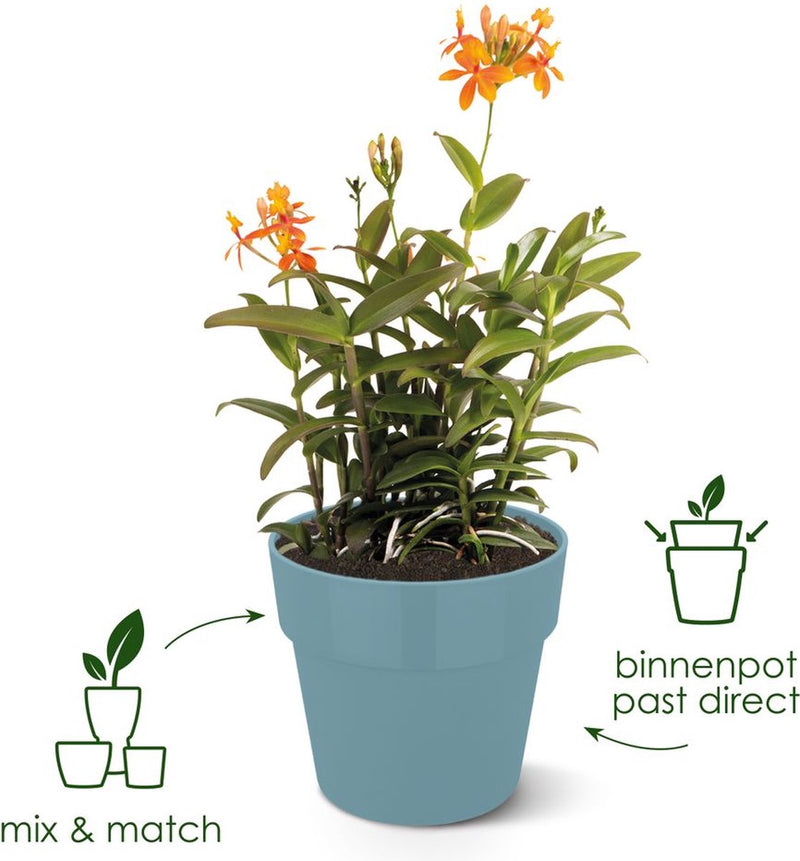 Elho b.for original rund 25 – Blumentopf für den Innenbereich – 100 % recycelter Kunststoff – ø 24,7 x H 23,2 cm – Living Black