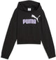 Puma ESS 2 Farbe Nr. 1 Logo Kurzlänge Kapuzenpullover tr g