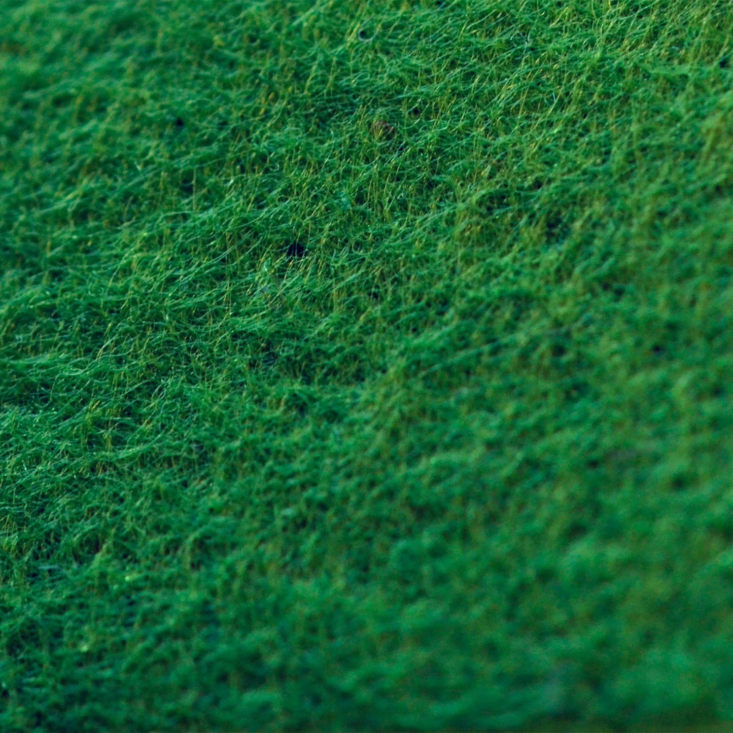 Vaessen creative • Filz 2mm 30,5x30,5cm Khakigrün 5 Stk.