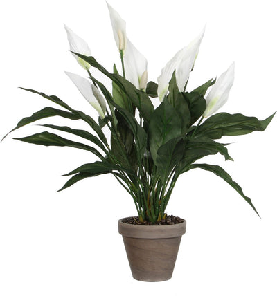 Künstliche Glimmerdekorationspflanze – Spathiphyllum-Löffelpflanze – weiß – H50 x T40 cm
